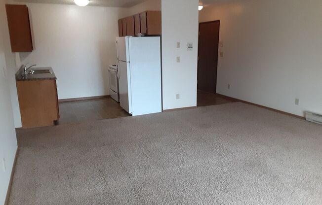 2 beds, 1 bath, 910 sqft, $710, Unit 302