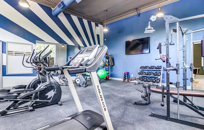 Two Level Fitness Center at Serene at Creekstone Apartments, Athens, GA, 30601