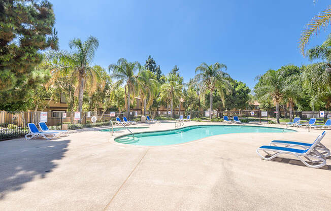 a swimming pool with blue chairs and palm trees