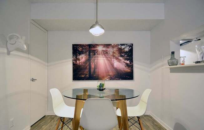 Modern Austin Apartment