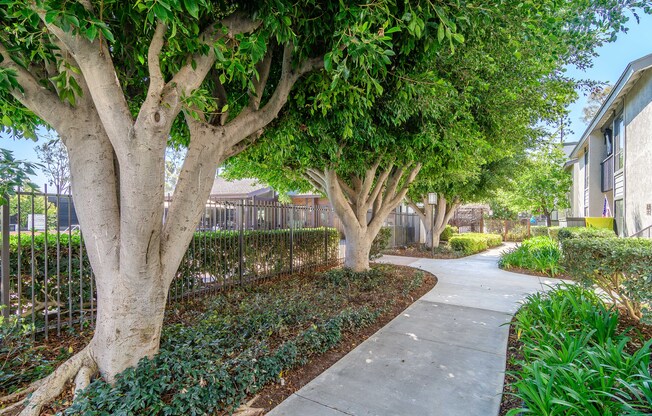A tree-lined walkway in a residential area.