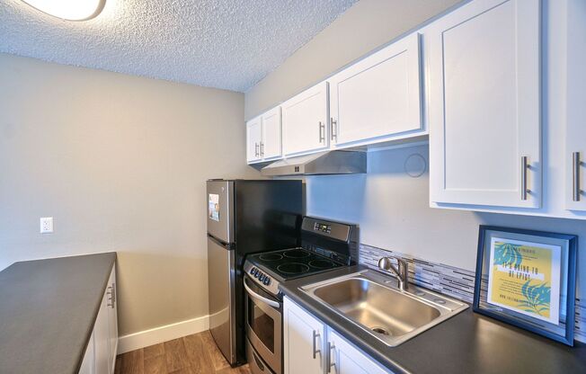 Studio, 1 bath, 406 sqft, $1,199, Unit 4