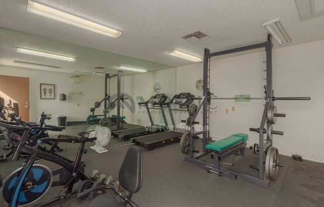2 beds, 2 baths, 1,000 sqft, $1,445, Unit 241