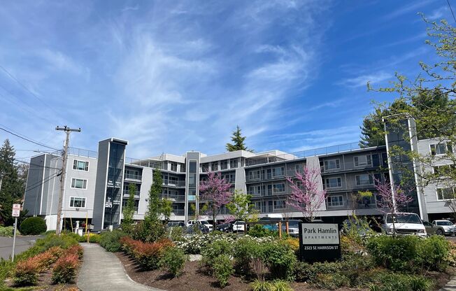 1 bed, 1 bath, 519 sqft, $1,395, Unit 42