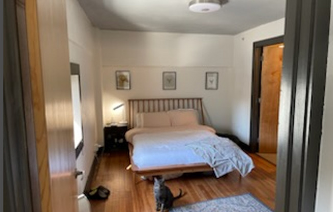 1 bed, 1 bath, 711 sqft, $1,299, Unit 3113