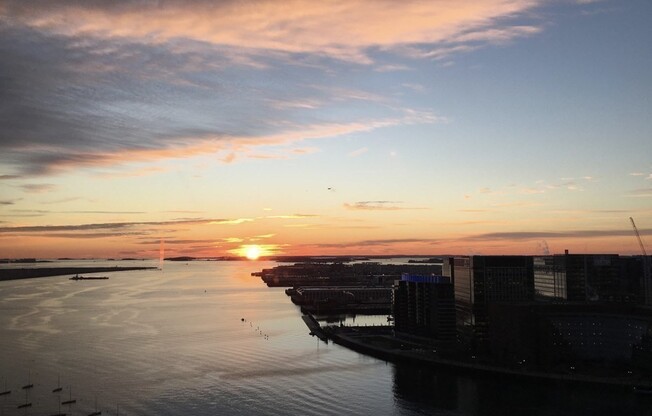 1 bed, 1 bath, 800 sqft, $3,500, Unit 29D