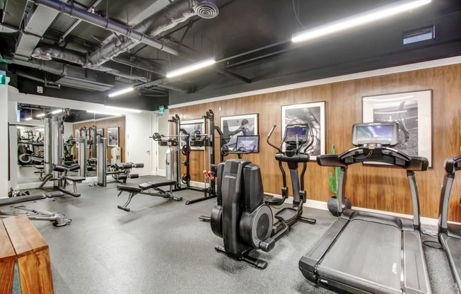 the gym is equipped with cardio equipment and weights