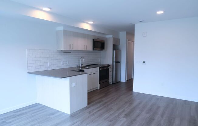 Studio, 1 bath, 429 sqft, $1,574, Unit 213