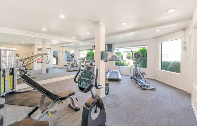 the gym at the preserve at great pond apartments in windsor