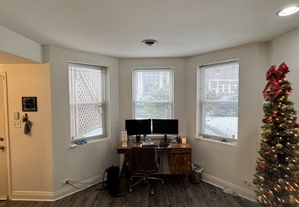 1507 W Henderson St, Chicago IL 1