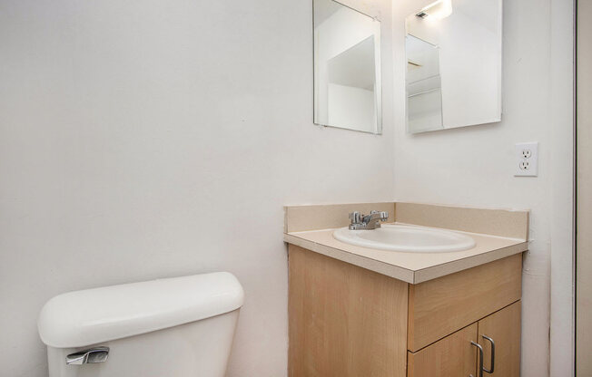 a bathroom with a sink and a toilet and a mirror