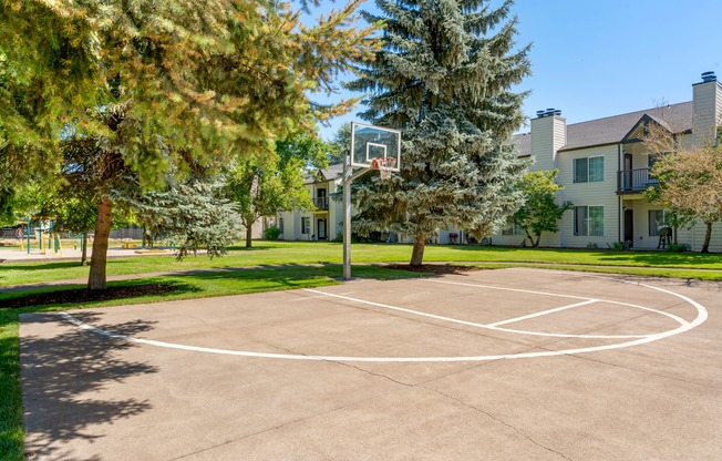 Basketball Court