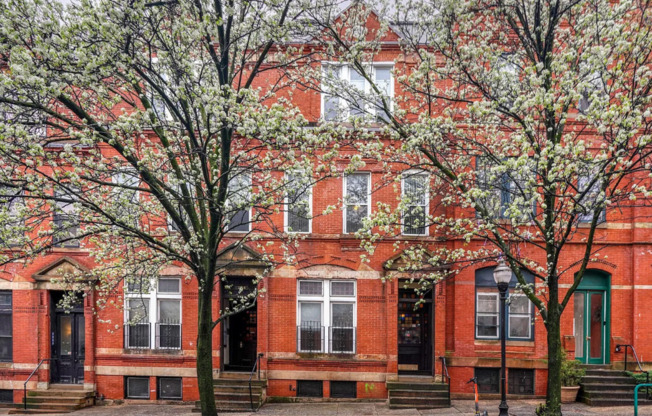 Charming 1 Bedroom Apartment Located in Station North