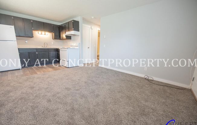 1 bed, 1 bath, 480 sqft, $920, Unit 164