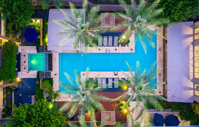 A pool surrounded by palm trees at night.