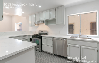 1053 FIGUEROA TER