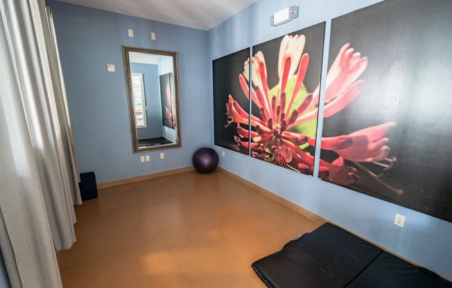 Yoga studio in apartment home hampton virginia