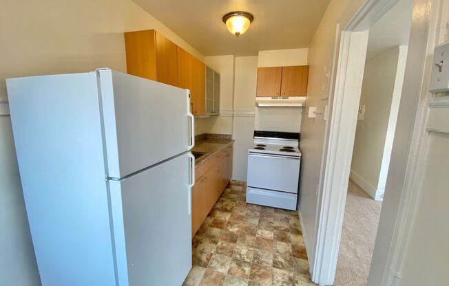 Studio, 1 bath, 438 sqft, $1,395, Unit 202