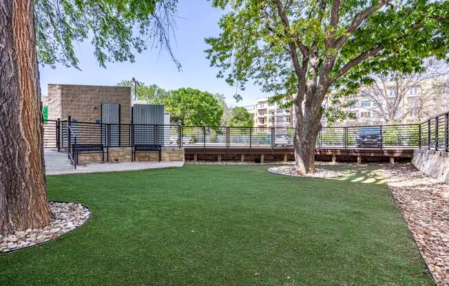 a yard with green grass and a tree and a fence