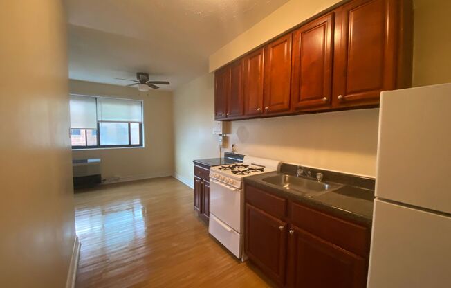 2 beds, 1 bath, 616 sqft, $1,250, Unit 1009