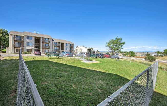 an off leash dog park area with grass and a fence at Vistas at Plum creek apartments