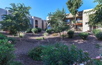 Paradise Foothills Apartment Homes