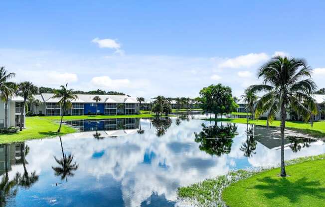 a body of water with palm trees in front of a building