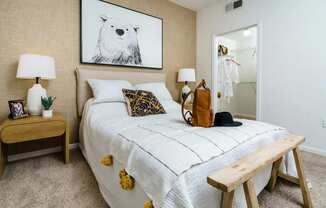 Large Walk In Closet Attached to Bedroom