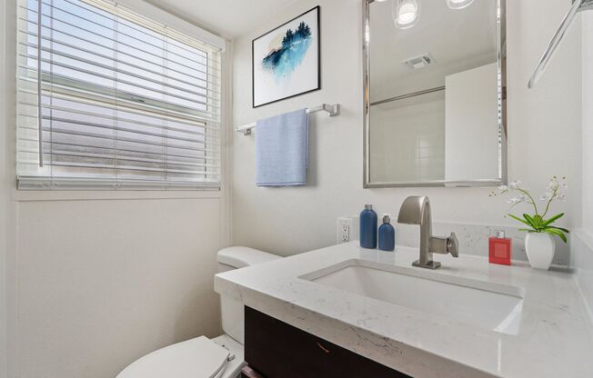 Studio, 1 bath, 441 sqft, $999, Unit 135