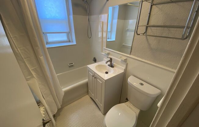 Studio, 1 bath, 300 sqft, $1,495, Unit Unit 206