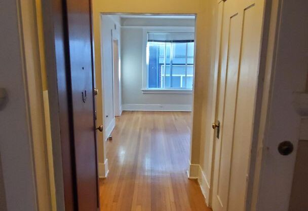 Studio, 1 bath, 290 sqft, $1,195, Unit 210