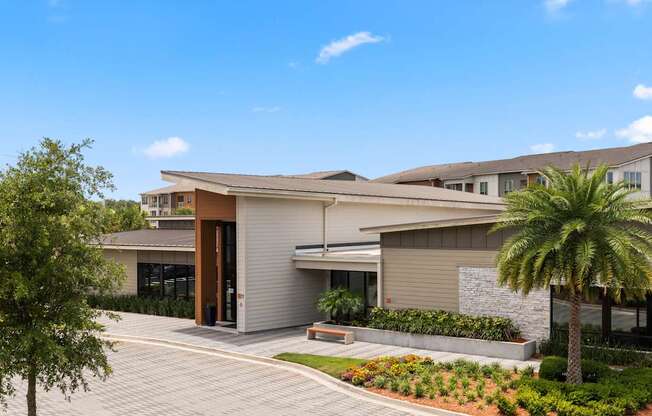A modern building with a palm tree in front.