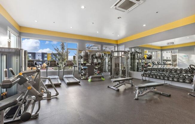 Modern fitness center at Parq Crossing