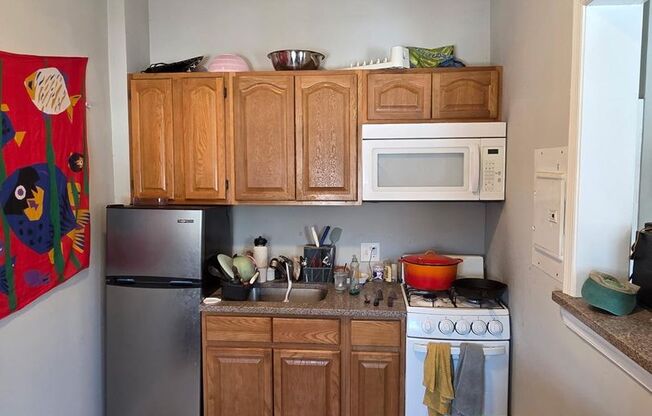 Studio, 1 bath, 300 sqft, $1,090, Unit 3412 Spring Partners LP-1C