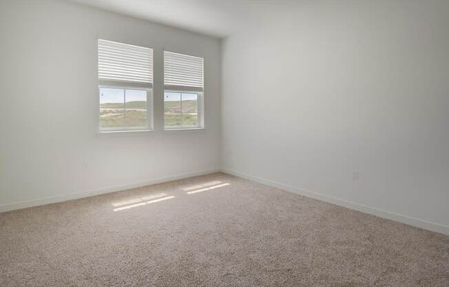 a bedroom with two windows and a carpeted floor