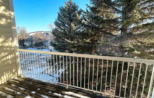 2 beds, 1 bath, 1,040 sqft, $935, Unit 2599-322