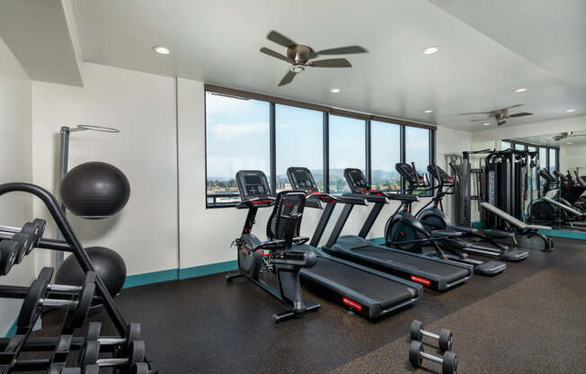 A gym with treadmills, weights, and exercise equipment.