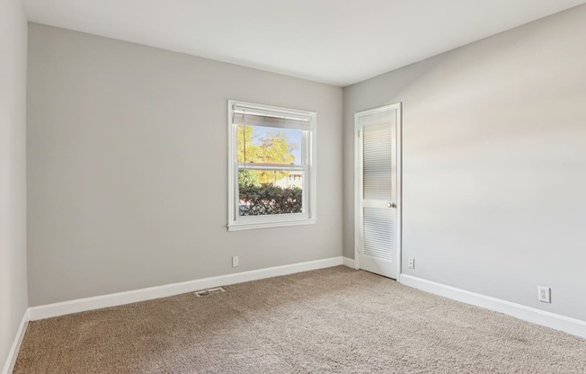 A room with a carpeted floor and a window showing trees outside.