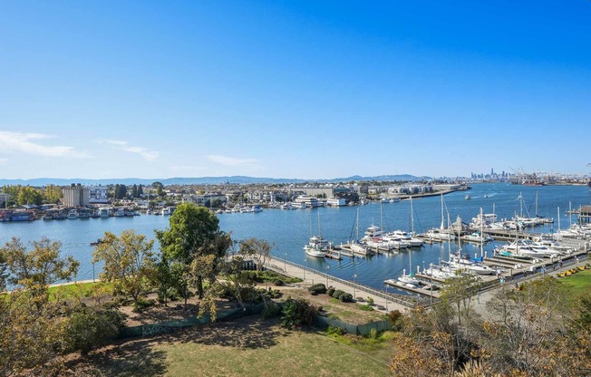 Harbor View