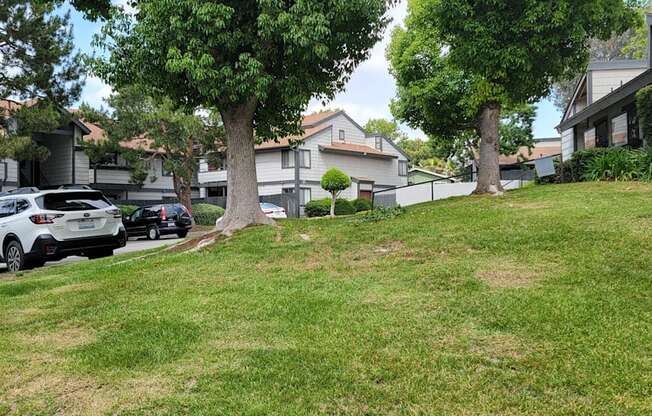 Sylvan landscaping at Dove Ridge Apartments in Riverside, CA.