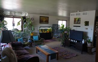 2 beds, 1 bath, $1,525