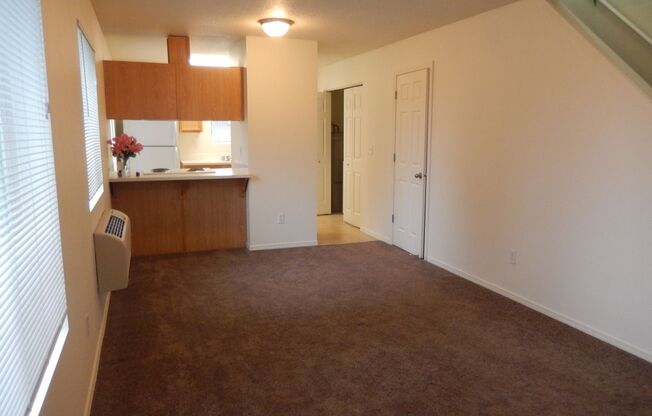 1377-01PP Stacey Lee Apartments