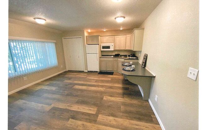 Studio, 1 bath, 450 sqft, $990, Unit 1818-315