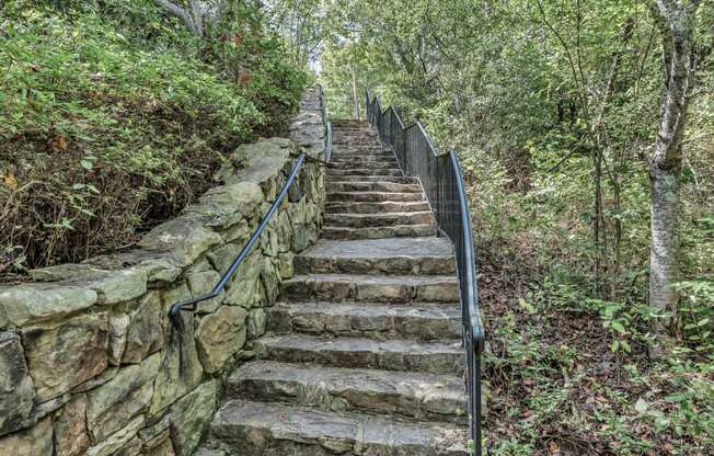 a set of stone stairs going up a hill in the woods