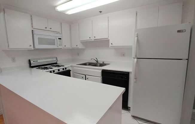 2 beds, 2 baths, 955 sqft, $2,650, Unit 509