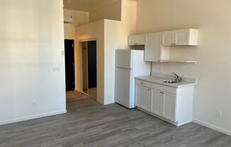 Studio, 1 bath, 265 sqft, $1,500, Unit Unit 250