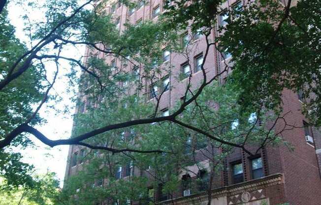 Studio, 1 bath, 320 sqft, $1,545, Unit 273-0905