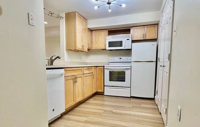 Columbia Heights| 900 sqft 2bd, 1bth|Townhouse English Bsmt Apt| Shared Back Patio