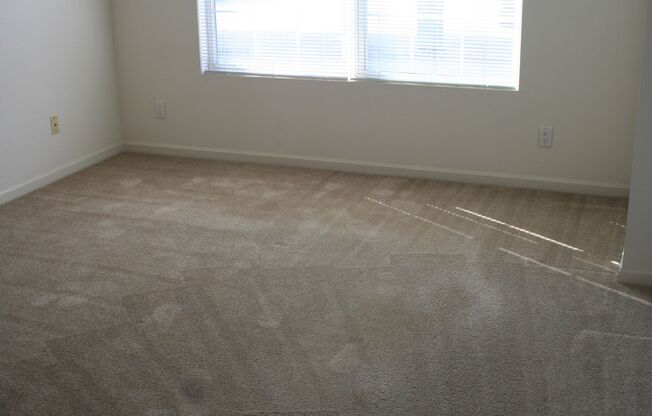 1 bed, 1 bath, 656 sqft, $1,110, Unit 410-209