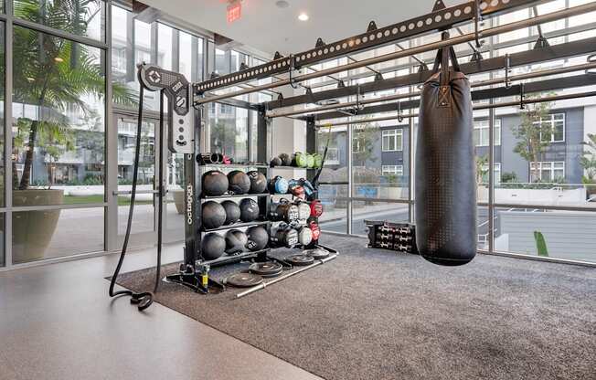 A gym with a punching bag, weights, and exercise equipment.